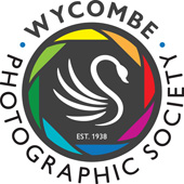 WPS Logo